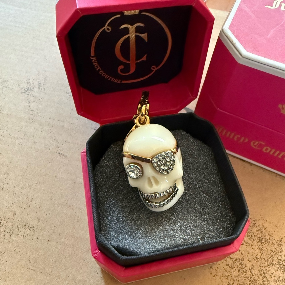 Juicy Couture skull with pave eyepatch 2010 & silver grill - Picture 8 of 8